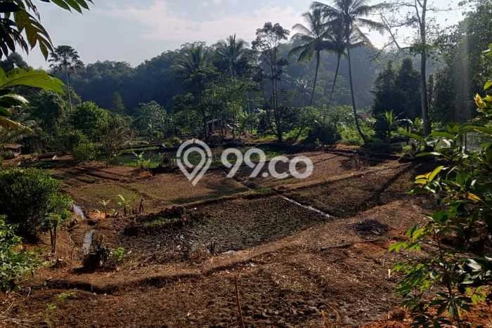 Tanah untuk Dijual di Cibadak Sukabumi Luas 3175m2 Tanah untuk Dijual di Cibadak Sukabumi Luas 3175m2