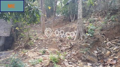 Lahan untuk Dijual di Jepara Jepara Luas 262m2 Lahan untuk Dijual di Jepara Jepara Luas 262m2