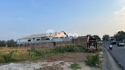 Tanah Komersial Dijual di Mlonggo Jepara 5000m2 Tanah Komersial Dijual di Mlonggo Jepara 5000m2