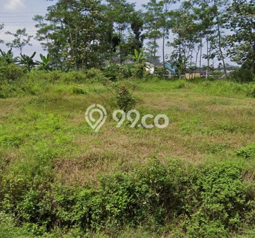Tanah di Ungaran Timur, Semarang Luas 968m2 Dijual Segera Tanah di Ungaran Timur, Semarang Luas 968m2 Dijual Segera