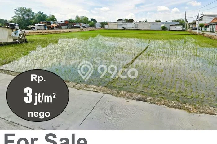 Tanah Kavling untuk Dijual di Mranggen Demak 3050m2 Tanah Kavling untuk Dijual di Mranggen Demak 3050m2