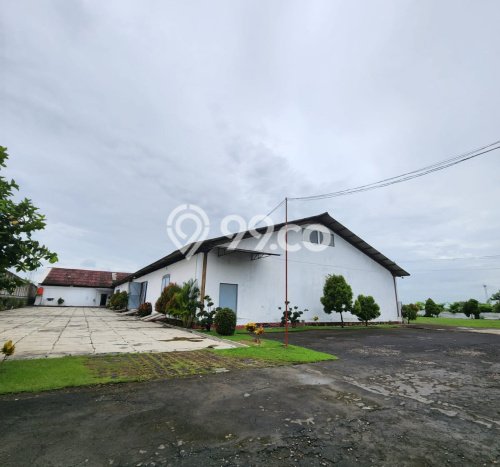 Gudang Dijual Lokasi Stratagis di Demak Demak Cocok untuk Investasi Gudang Dijual Lokasi Stratagis di Demak Demak Cocok untuk Investasi