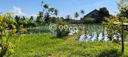 Tanah Dijual Lokasi Temanggung, Temanggung Luas 3000m2 Legalitas Aman Tanah Dijual Lokasi Temanggung, Temanggung Luas 3000m2 Legalitas Aman