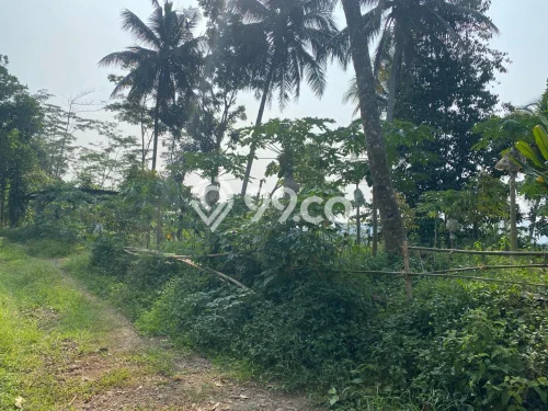 Tanah Dijual Lokasi Tersono, Batang dengan Luas Tanah 3933m2 dan Status SHM Tanah Dijual Lokasi Tersono, Batang dengan Luas Tanah 3933m2 dan Status SHM