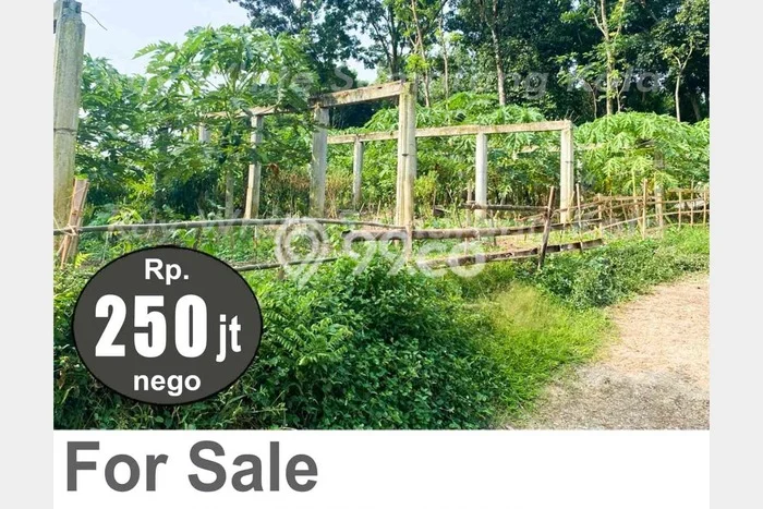 Tanah Dijual Lokasi Tersono, Batang dengan Luas Tanah 3933m2 dan Status SHM Tanah Dijual Lokasi Tersono, Batang dengan Luas Tanah 3933m2 dan Status SHM