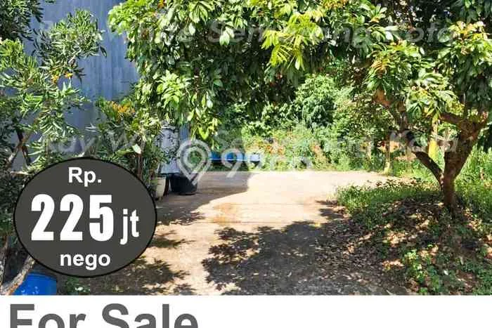 Tanah di Jepara, Jepara Luas 106m2 Dijual Segera Tanah di Jepara, Jepara Luas 106m2 Dijual Segera