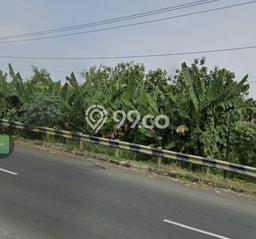Lahan untuk Dijual Lokasi Ngaliyan, Semarang Luas 1394m2 SHM Lahan untuk Dijual Lokasi Ngaliyan, Semarang Luas 1394m2 SHM