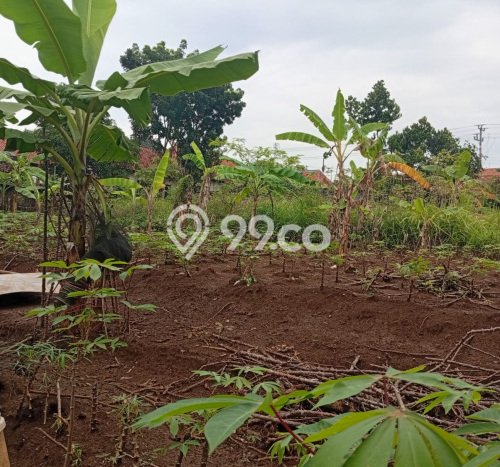 Tanah untuk Dijual di Semarang Barat Semarang Luas 1566m2 Tanah untuk Dijual di Semarang Barat Semarang Luas 1566m2