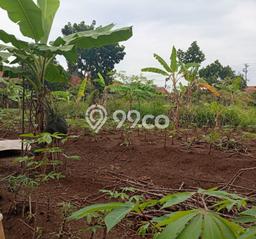 Tanah untuk Dijual di Semarang Barat Semarang Luas 1566m2 Tanah untuk Dijual di Semarang Barat Semarang Luas 1566m2