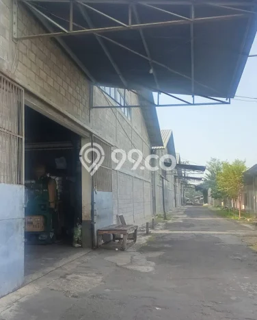 Gudang Disewakan Cepat di Tugu Semarang LB 2000m2 Gudang Disewakan Cepat di Tugu Semarang LB 2000m2