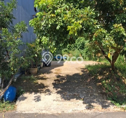 Tanah di Jepara, Jepara Luas 106m2 Dijual Segera Tanah di Jepara, Jepara Luas 106m2 Dijual Segera