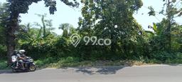 Lahan Investasi Lokasi Ngaliyan Semarang SHM Lahan Investasi Lokasi Ngaliyan Semarang SHM