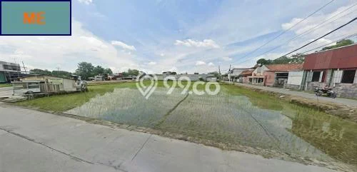 Tanah Kavling untuk Dijual di Mranggen Demak 3050m2 Tanah Kavling untuk Dijual di Mranggen Demak 3050m2