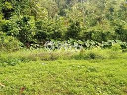 Untuk Dijual Tanah di Ungaran Timur Semarang Luas 2640m2 SHM Untuk Dijual Tanah di Ungaran Timur Semarang Luas 2640m2 SHM