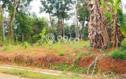 Tanah Dijual Lokasi Jepara, Jepara Luas 2150m2 Legalitas Aman Tanah Dijual Lokasi Jepara, Jepara Luas 2150m2 Legalitas Aman