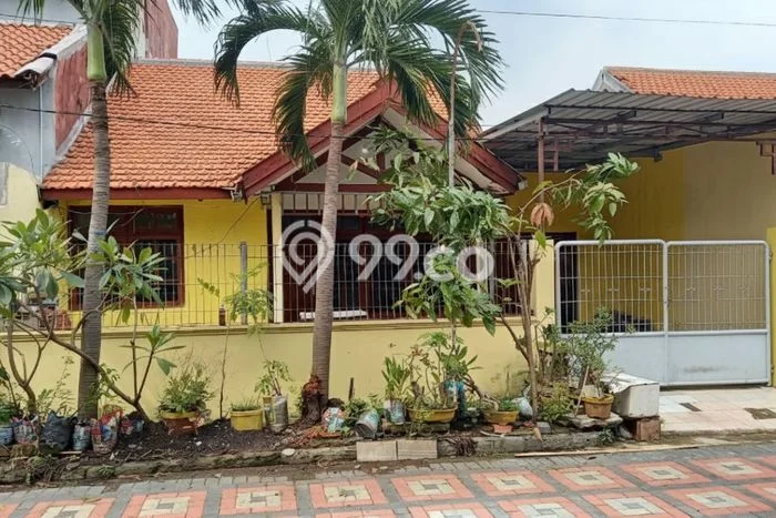 Disewakan Rumah Konsep Minimalis di Rungkut Surabaya dengan 5 Kamar Disewakan Rumah Konsep Minimalis di Rungkut Surabaya dengan 5 Kamar