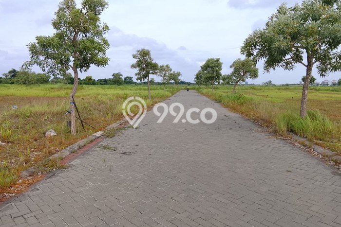 Tanah Kosong Dijual di Gresik dengan Area 120m2 Tanah Kosong Dijual di Gresik dengan Area 120m2