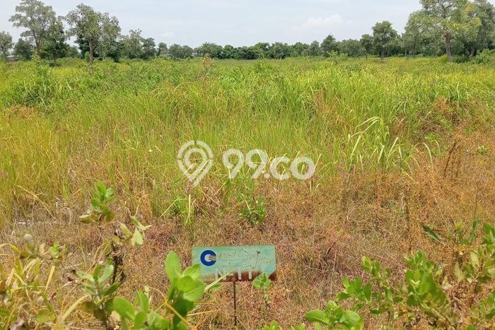 Tanah di Manyar, Gresik Luas 135m2 Dijual Segera Tanah di Manyar, Gresik Luas 135m2 Dijual Segera