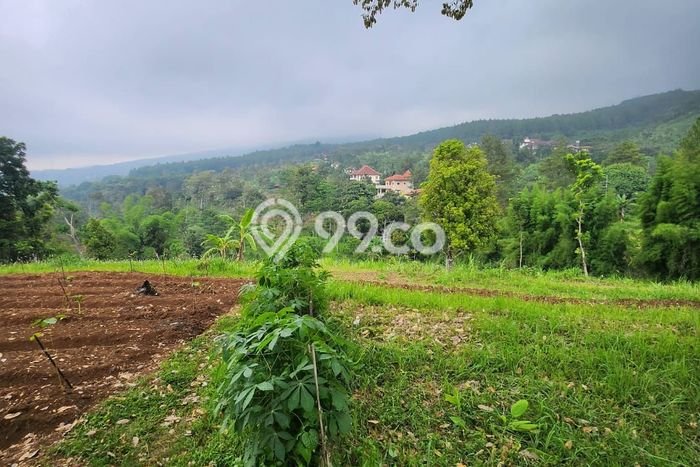 Tanah Kavling untuk Dijual di Prigen Pasuruan 2200m2 Tanah Kavling untuk Dijual di Prigen Pasuruan 2200m2
