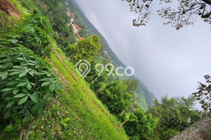 Tanah Kavling untuk Dijual di Prigen Pasuruan 2200m2 Tanah Kavling untuk Dijual di Prigen Pasuruan 2200m2