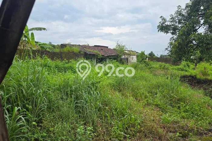 Lahan Kosong Dijual di Beji, Pasuruan, Luas 8000m2 Area Strategis Lahan Kosong Dijual di Beji, Pasuruan, Luas 8000m2 Area Strategis