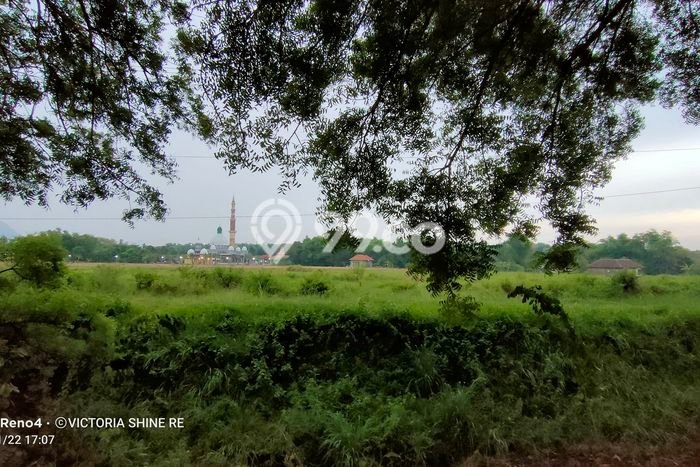 Tanah untuk Dijual di Pandaan Pasuruan Luas 43000m2 Tanah untuk Dijual di Pandaan Pasuruan Luas 43000m2