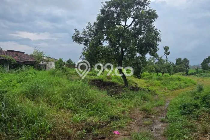 Lahan Kosong Dijual di Beji, Pasuruan, Luas 8000m2 Area Strategis Lahan Kosong Dijual di Beji, Pasuruan, Luas 8000m2 Area Strategis