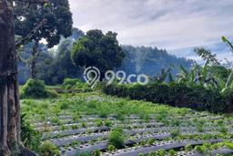 Tanah Dijual di Bandung Seluas 4253m2 Strategis Tanah Dijual di Bandung Seluas 4253m2 Strategis