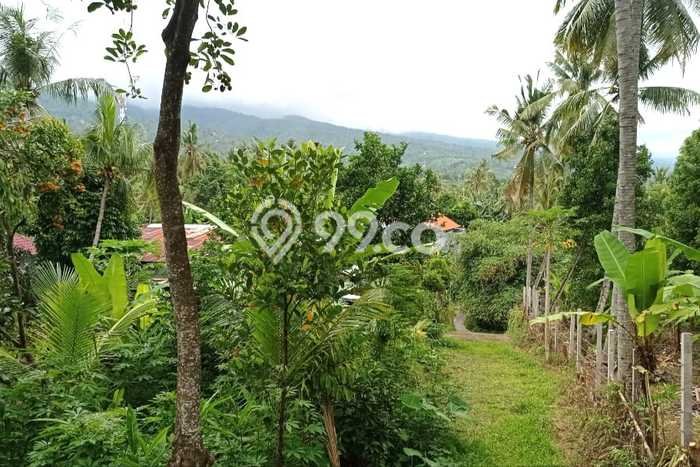 Tanah Kavling Dijual di Buleleng dengan Spesifikasi 320m2 Tanah Kavling Dijual di Buleleng dengan Spesifikasi 320m2