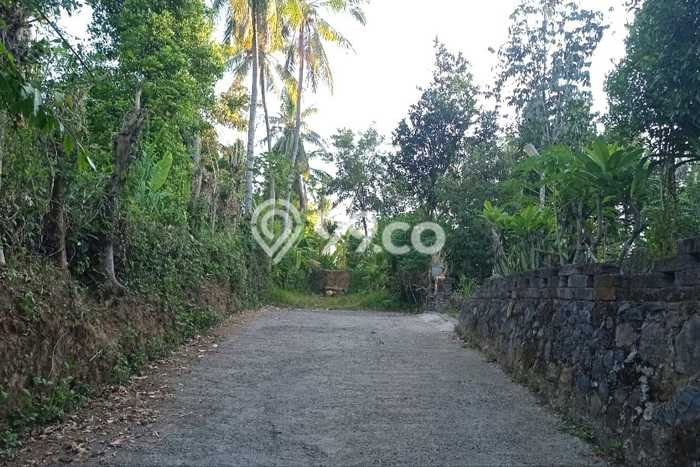 Tanah Kavling Dijual di Buleleng dengan Spesifikasi 320m2 Tanah Kavling Dijual di Buleleng dengan Spesifikasi 320m2