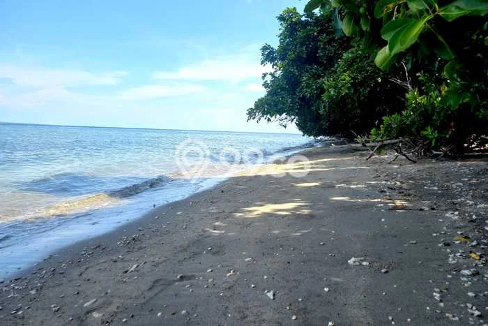 Kavling Tanah di Labuhan Badas Dijual Luas 40000m2 Legalitas SHM Kavling Tanah di Labuhan Badas Dijual Luas 40000m2 Legalitas SHM