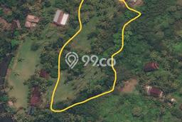 Tanah untuk Dijual di Selemadeg Tabanan Luas 9250m2 Tanah untuk Dijual di Selemadeg Tabanan Luas 9250m2