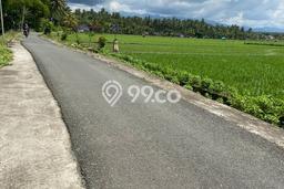 Kavling Tanah untuk Dijual di Delodberawah, Jembrana, Luas 5600m2 Kavling Tanah untuk Dijual di Delodberawah, Jembrana, Luas 5600m2