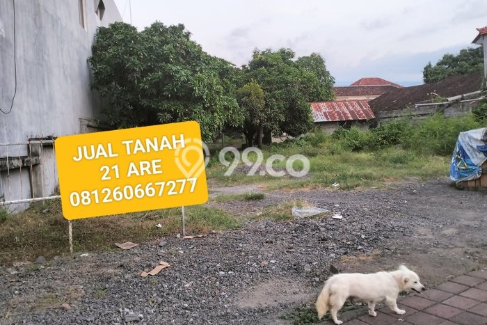 Tanah Dijual di Buleleng Seluas 2100m2 Strategis Tanah Dijual di Buleleng Seluas 2100m2 Strategis