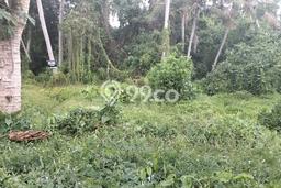 Tanah Kavling di Ubud Dijual dengan Luas 240000m2 Tanah Kavling di Ubud Dijual dengan Luas 240000m2