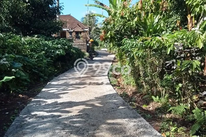 Lahan Investasi Lokasi Busungbiu Buleleng SHM Lahan Investasi Lokasi Busungbiu Buleleng SHM