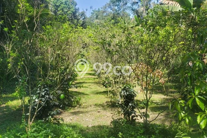 HARGA TERBAIK! Tanah Kawasan , Luas 1200m2m², Akses Jalan Utama, Cocok untuk Investasi HARGA TERBAIK! Tanah Kawasan , Luas 1200m2m², Akses Jalan Utama, Cocok untuk Investasi