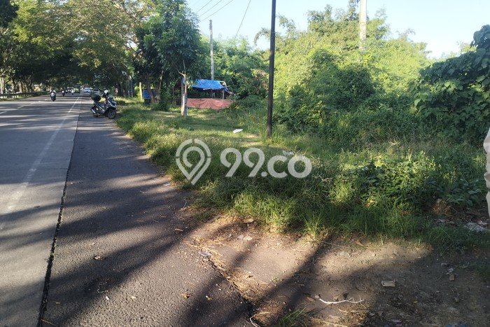 Tanah Kavling Dijual di Tulikup, Gianyar dengan Luas Tanah 6650m2 Tanah Kavling Dijual di Tulikup, Gianyar dengan Luas Tanah 6650m2