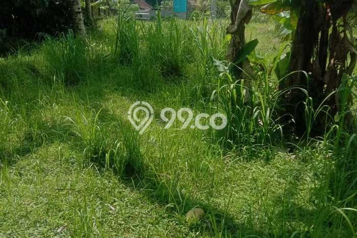 Tanah Kavling Dijual di Tabanan dengan Spesifikasi 1000m2 Tanah Kavling Dijual di Tabanan dengan Spesifikasi 1000m2