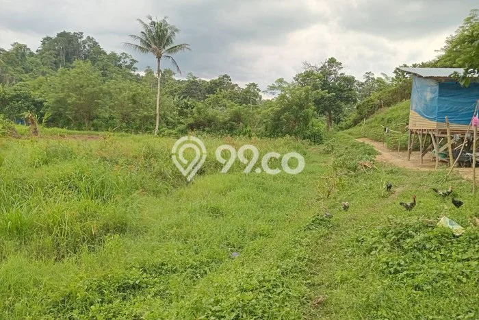 Tanah Dijual Area Strategis di Bondoala Sampara Konawe 22700m2 Tanah Dijual Area Strategis di Bondoala Sampara Konawe 22700m2