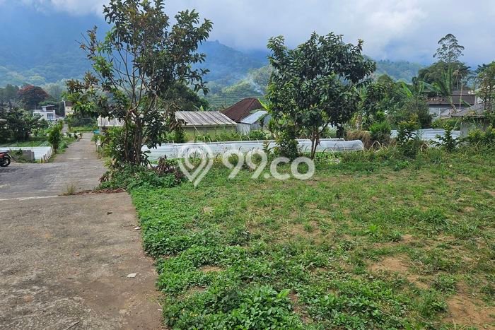 Tanah Kavling untuk Dijual di Sukasada Buleleng 305m2 Tanah Kavling untuk Dijual di Sukasada Buleleng 305m2