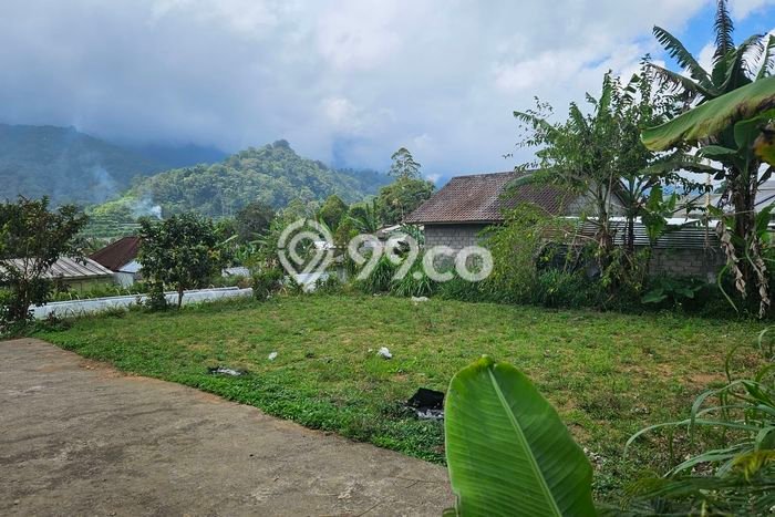 Tanah Kavling untuk Dijual di Sukasada Buleleng 305m2 Tanah Kavling untuk Dijual di Sukasada Buleleng 305m2