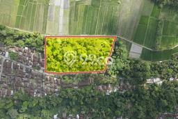 Lahan untuk Dijual di Penebel Tabanan Luas 6400m2 Lahan untuk Dijual di Penebel Tabanan Luas 6400m2