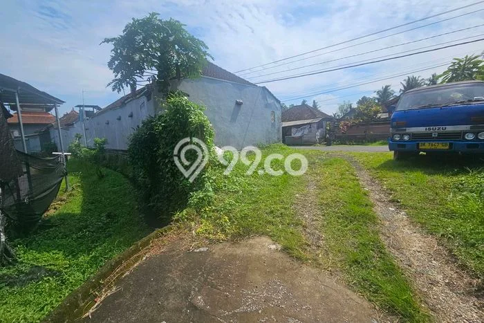 Tanah Investasi Disewakan di Selemadeg, Tabanan, Luas 600m2 Tanah Investasi Disewakan di Selemadeg, Tabanan, Luas 600m2