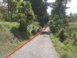 Tanah Area Prospektif Kawasan Kerambitan, Luas 1600m², Dekat ke Fasilitas, Lingkungan Nyaman Tanah Area Prospektif Kawasan Kerambitan, Luas 1600m², Dekat ke Fasilitas, Lingkungan Nyaman