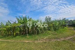 Untuk Disewa Tanah di Tabanan, Luas 600m2 Area Berkembang Untuk Disewa Tanah di Tabanan, Luas 600m2 Area Berkembang
