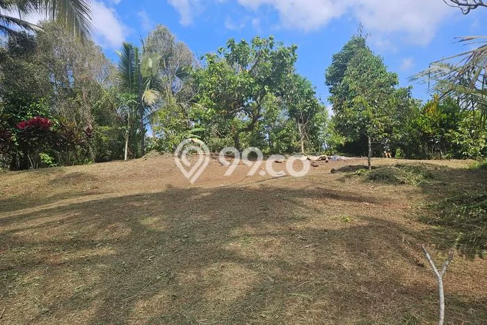 Dijual Tanah Kawasan , Luas 4200m2m², Kawasan Asri Dijual Tanah Kawasan , Luas 4200m2m², Kawasan Asri
