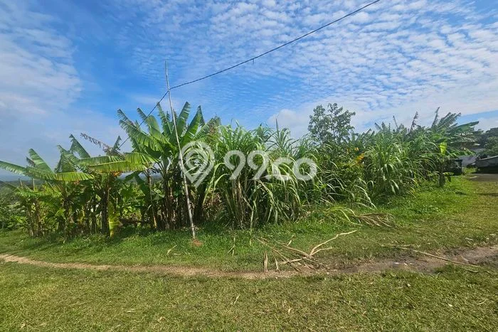 Tanah Investasi Disewakan di Selemadeg, Tabanan, Luas 600m2 Tanah Investasi Disewakan di Selemadeg, Tabanan, Luas 600m2