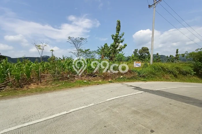 Kavling Tanah Dijual di Singorojo, Kendal, Luas 4250m2 Area Strategis Kavling Tanah Dijual di Singorojo, Kendal, Luas 4250m2 Area Strategis