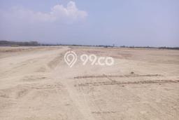 Tanah Dijual Lokasi Brangsong, Kendal Luas 60000m2 Legalitas Aman Tanah Dijual Lokasi Brangsong, Kendal Luas 60000m2 Legalitas Aman